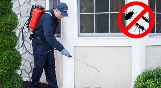 Basınsitesi Böcek İlaçlama böcek ilaçlama ve haşere kontrolü — ilaclama-tr.com